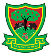 Thekwane High School